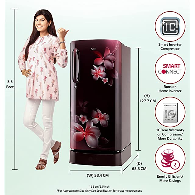 LG 190L 5 Star Direct-Cool Smart Inverter Single Door Refrigerator (GL-D201ASPZ, Scarlet Plumeria, Base stand with drawer)
